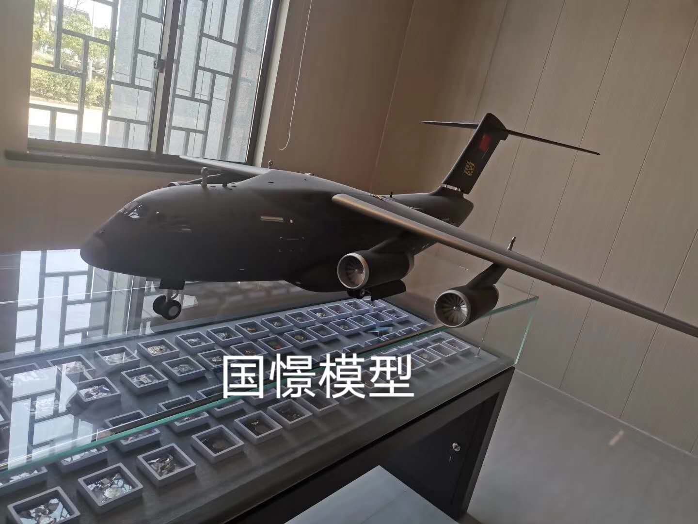 永善县飞机模型